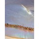 CÉLINE light Tourmaline melon